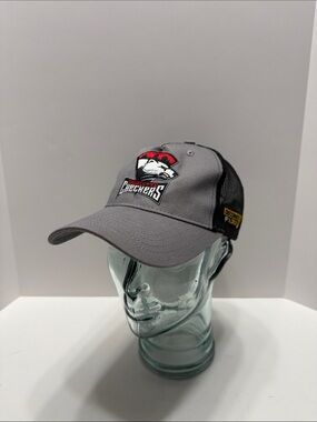 Gray Charlotte Checkers Baseball Cap with Team Patch
